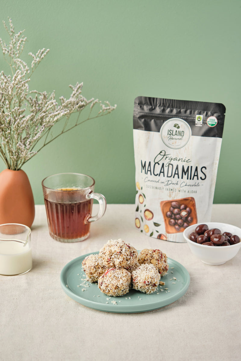 No-Bake, DIY Energy Bites Recipe With Chocolate Covered Macadamia Nuts – Island Harvest Hawaii